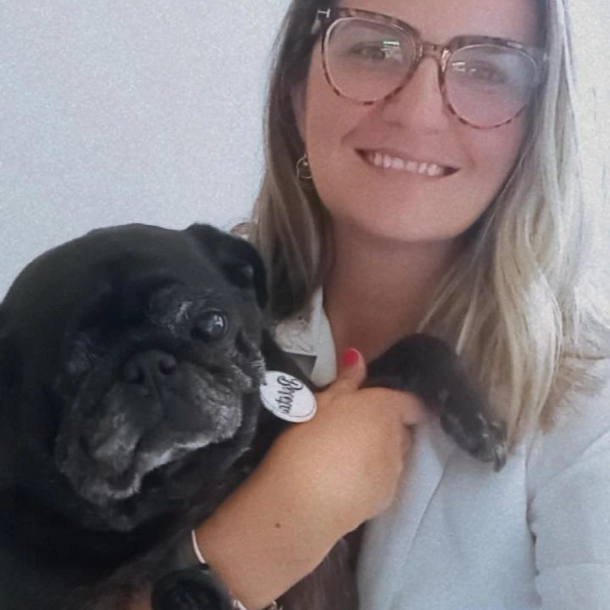 foto da veterinaria com um pug